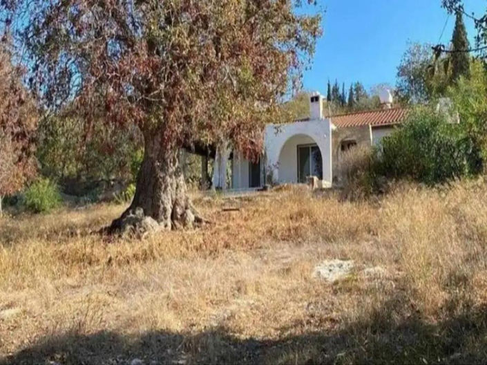 Image No.5-Plot for sale