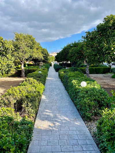 Image No.13-2 Bed Apartment for sale