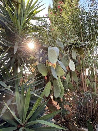 Image No.14-Villa de 3 chambres à vendre à Chlorakas