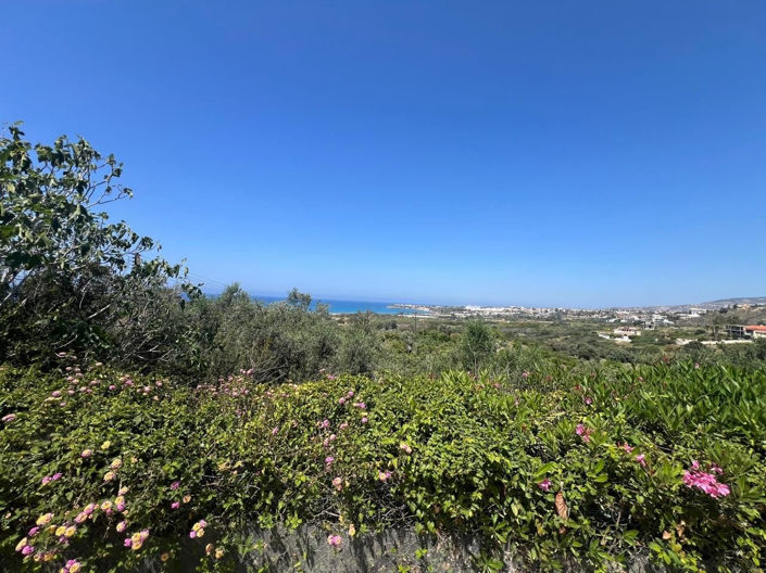 Image No.54-Villa de 5 chambres à vendre à Kissonerga