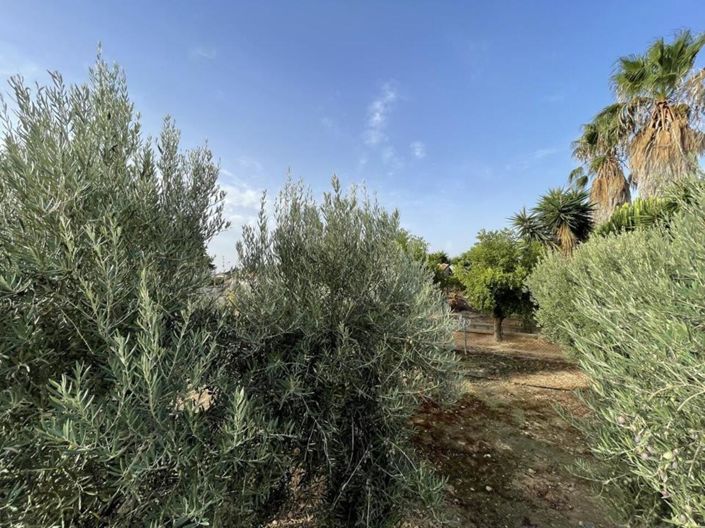 Image No.20-3 Bed Villa for sale