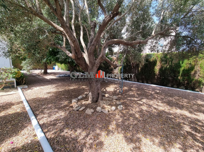 Image No.10-3 Bed Apartment for sale