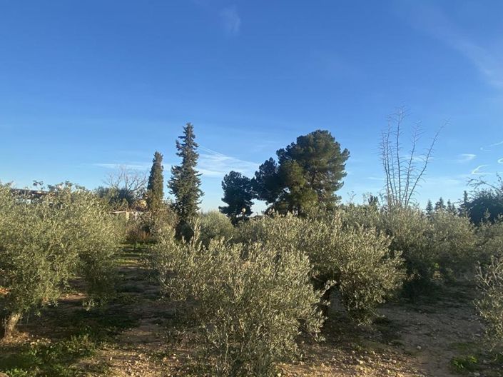 Image No.6-4 Bed Villa for sale