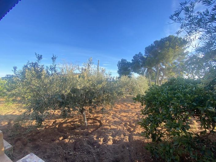 Image No.8-4 Bed Villa for sale