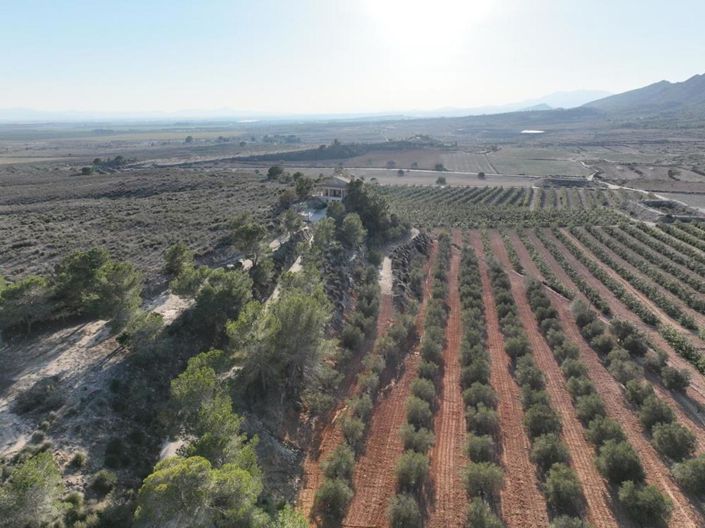 Image No.7-4 Bed Villa for sale