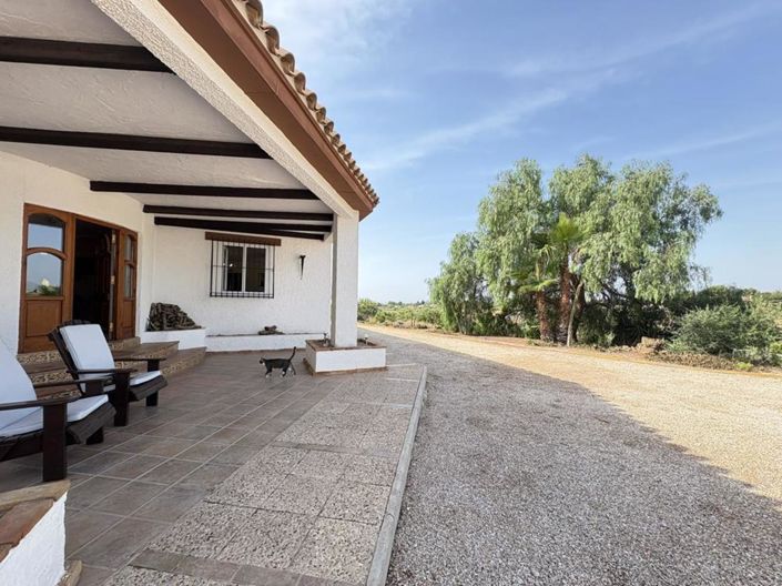 Image No.15-4 Bed Finca for sale