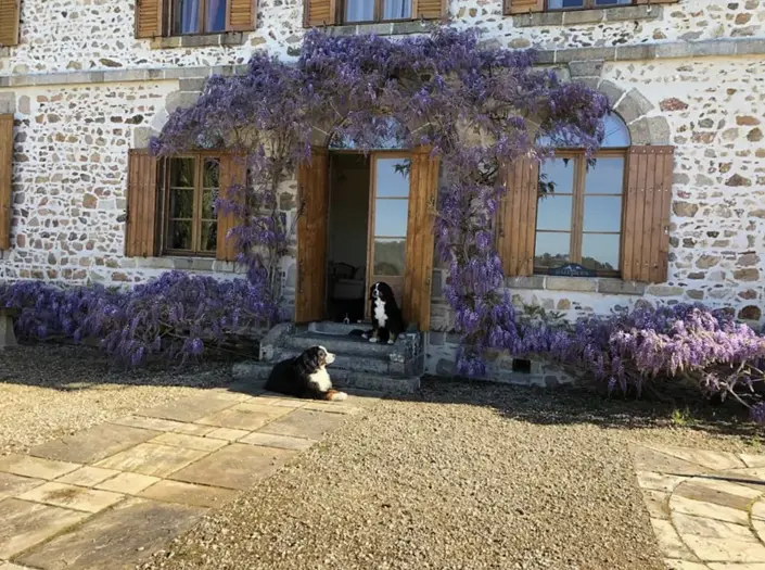 Image No.5-Châteaux de 7 chambres à vendre à Bussière-Boffy