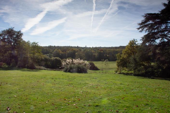 Image No.25-Châteaux de 7 chambres à vendre à Bussière-Boffy