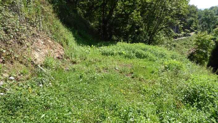 Image No.8-5 Bed Country Property for sale