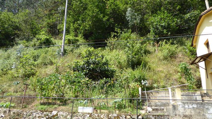 Image No.20-2 Bed Village House for sale