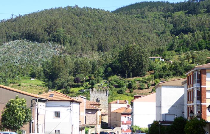 Image No.19-Commercial à vendre à Asturies