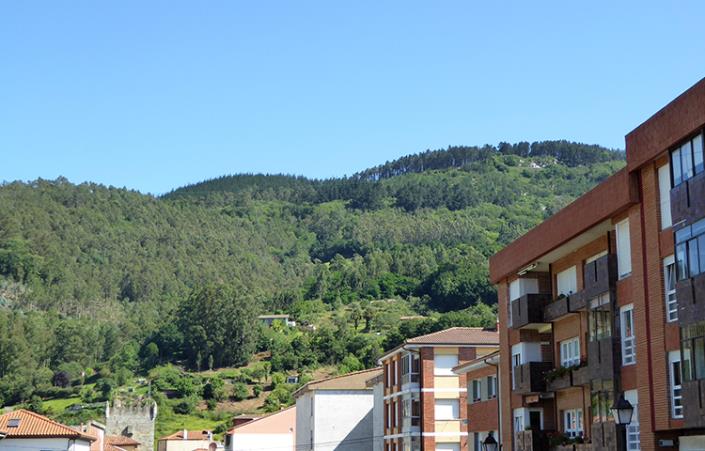 Image No.18-Commercial à vendre à Asturies