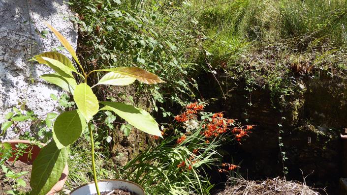Image No.37-Maison de village de 6 chambres à vendre à Asturies