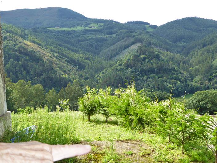 Image No.29-5 Bed Country House for sale