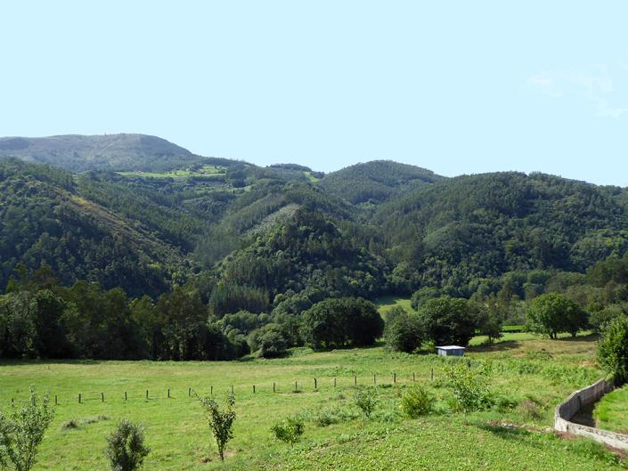 Image No.28-5 Bed Country House for sale