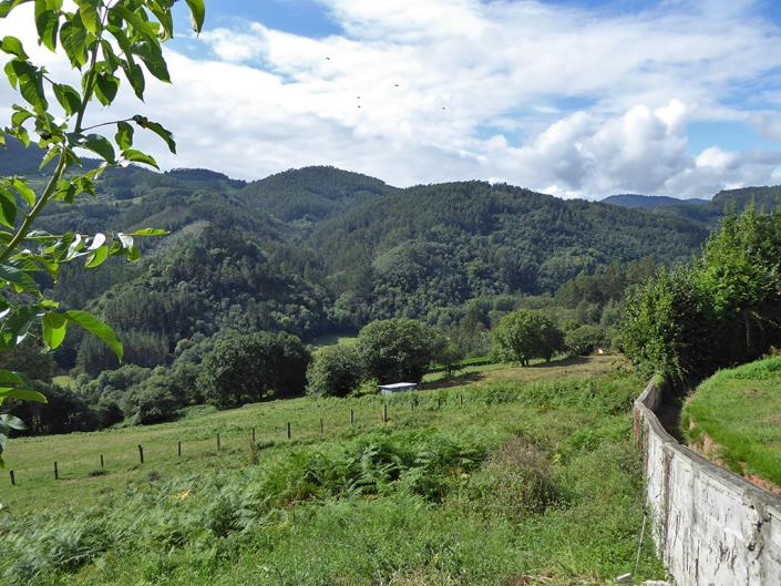 Image No.30-5 Bed Country House for sale