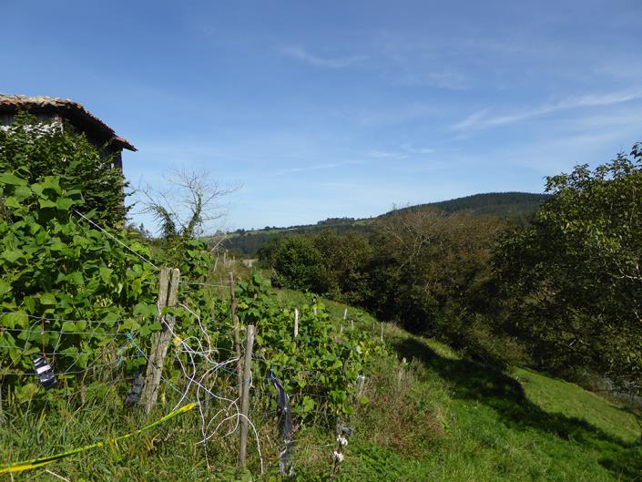 Image No.33-Propriété de pays de 2 chambres à vendre à Asturies