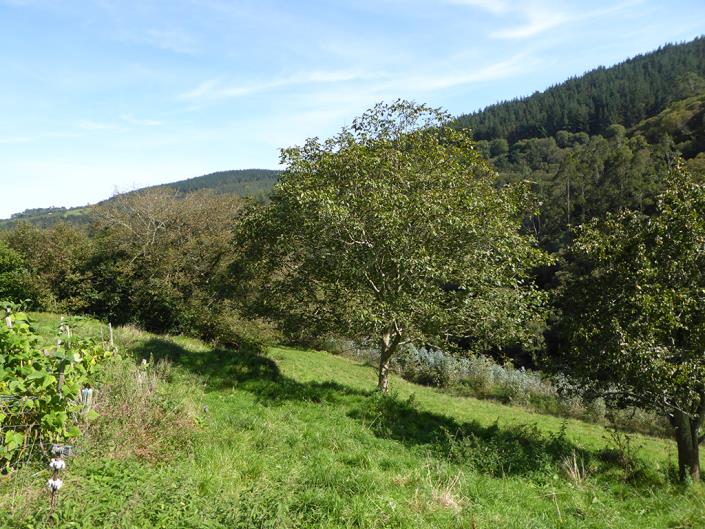 Image No.34-Propriété de pays de 2 chambres à vendre à Asturies