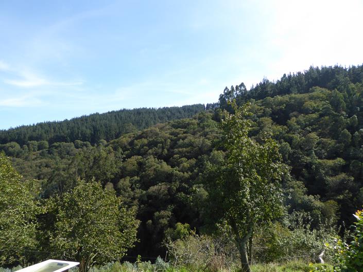 Image No.36-Propriété de pays de 2 chambres à vendre à Asturies