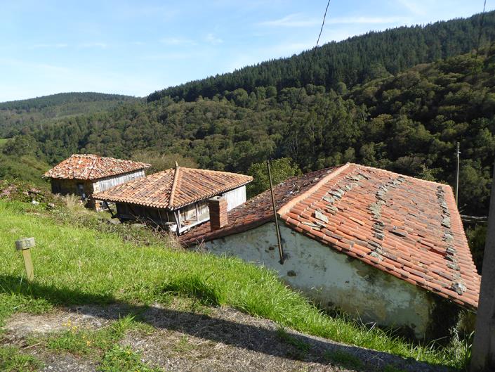 Image No.39-Propriété de pays de 2 chambres à vendre à Asturies