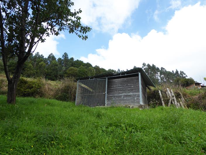 Image No.38-Propriété de pays de 3 chambres à vendre à Asturies