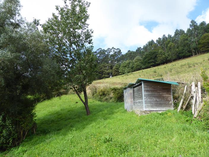Image No.39-Propriété de pays de 3 chambres à vendre à Asturies
