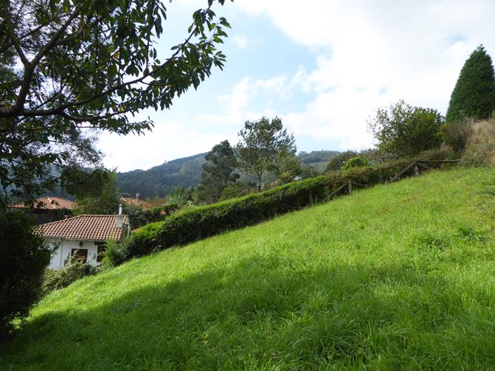 Image No.40-Propriété de pays de 3 chambres à vendre à Asturies