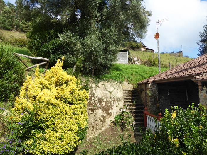Image No.44-Propriété de pays de 3 chambres à vendre à Asturies