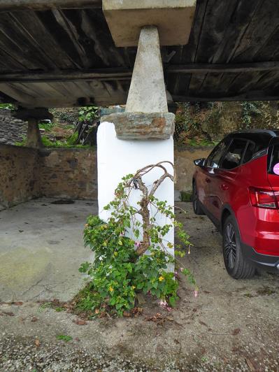 Image No.51-Propriété de pays de 3 chambres à vendre à Asturies