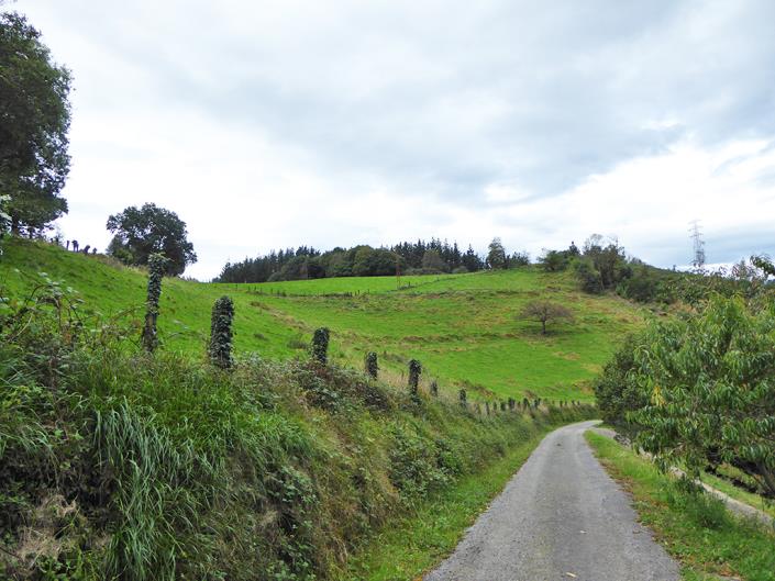 Image No.21-Maison de campagne de 2 chambres à vendre à Asturies