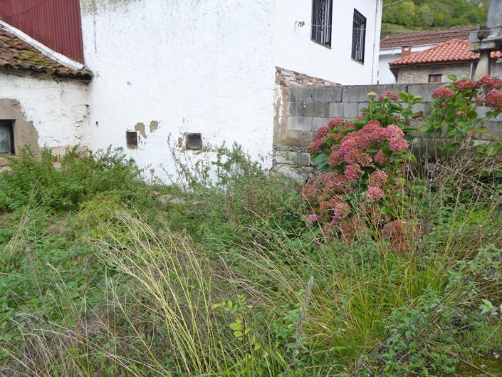 Image No.21-Ferme de 2 chambres à vendre à Asturies
