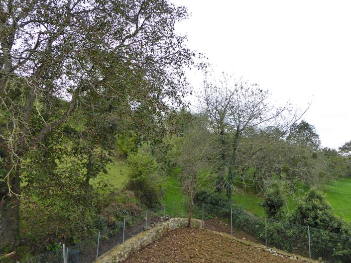 Image No.6-Maison de campagne de 3 chambres à vendre à Grado