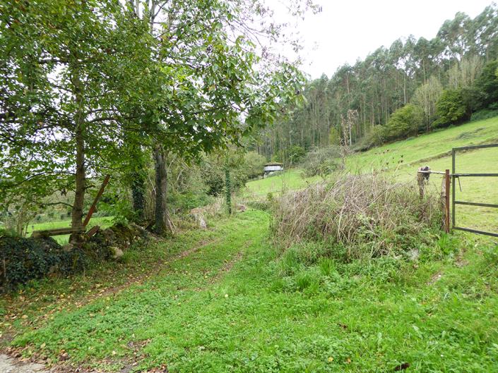 Image No.11-Maison de campagne de 3 chambres à vendre à Grado