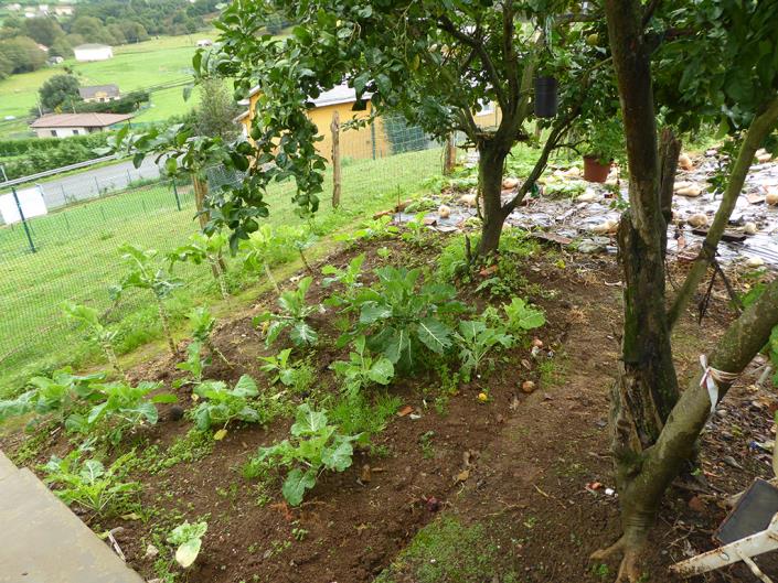 Image No.32-Maison de campagne de 3 chambres à vendre à Soto