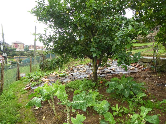 Image No.33-Maison de campagne de 3 chambres à vendre à Soto