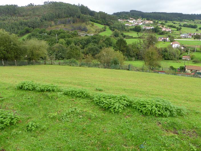 Image No.49-Maison de campagne de 3 chambres à vendre à Soto