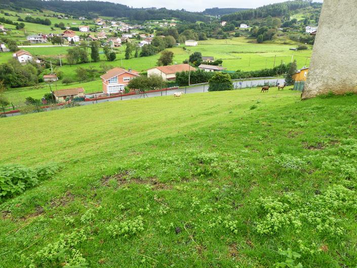 Image No.48-Maison de campagne de 3 chambres à vendre à Soto