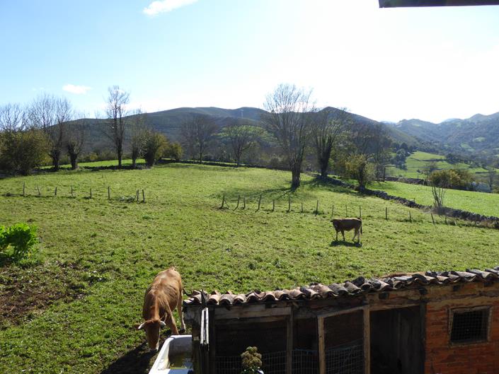 Image No.12-Ferme de 6 chambres à vendre à Grado