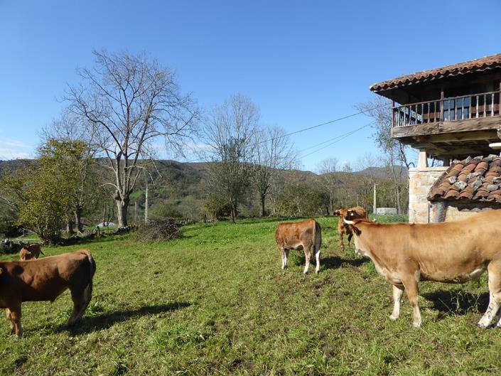 Image No.14-Ferme de 6 chambres à vendre à Grado