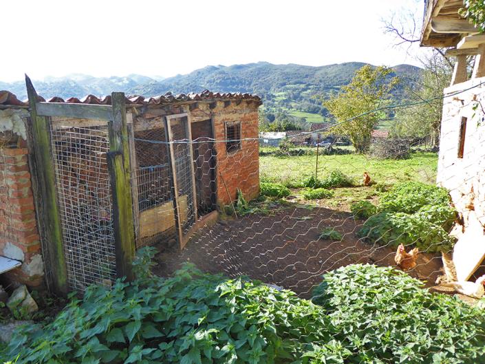 Image No.16-Ferme de 6 chambres à vendre à Grado