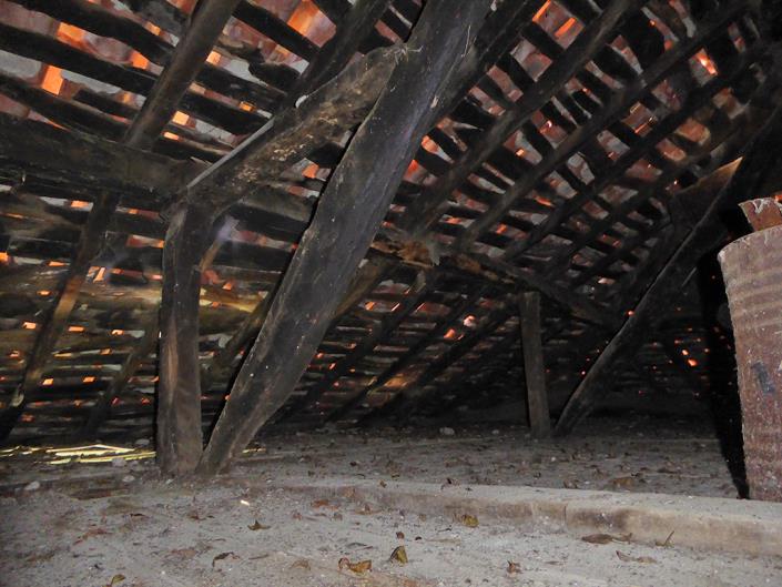 Image No.40-Ferme de 6 chambres à vendre à Grado