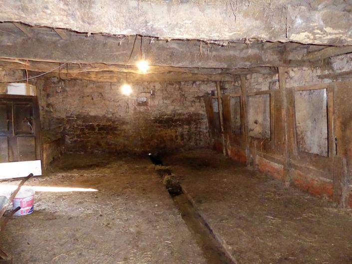 Image No.50-Ferme de 6 chambres à vendre à Grado