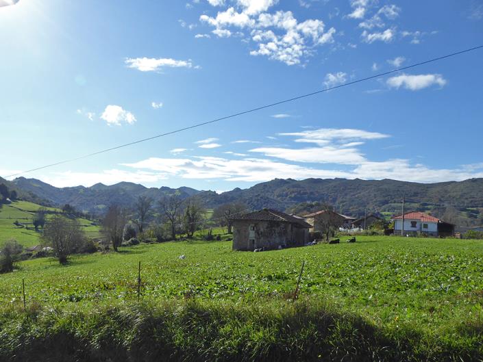 Image No.54-Ferme de 6 chambres à vendre à Grado