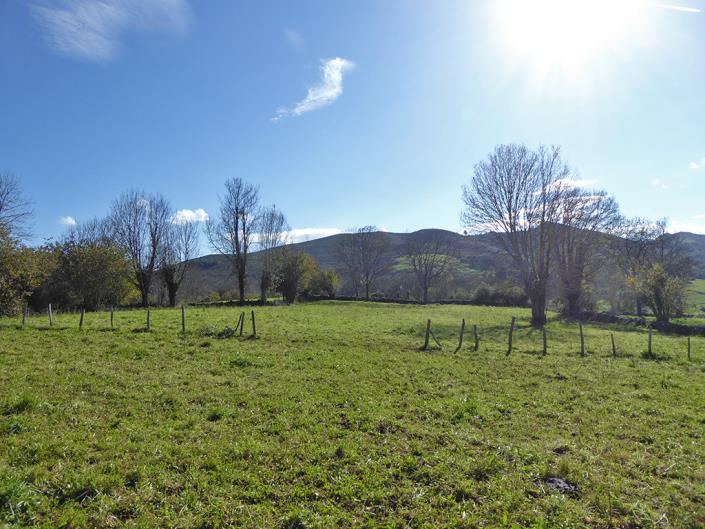 Image No.55-Ferme de 6 chambres à vendre à Grado