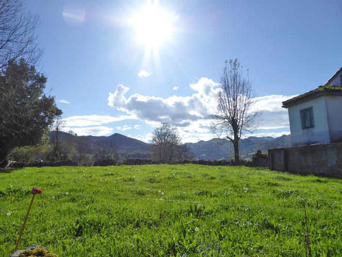 Image No.57-Ferme de 6 chambres à vendre à Grado