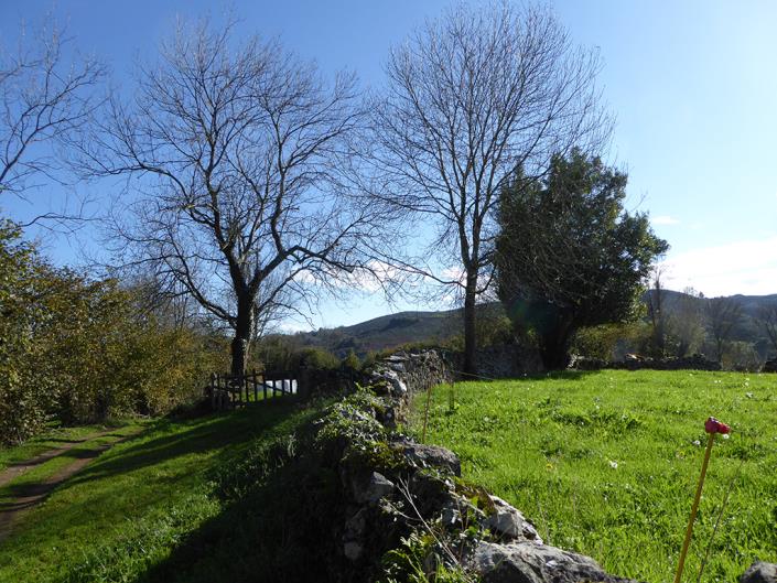 Image No.58-Ferme de 6 chambres à vendre à Grado