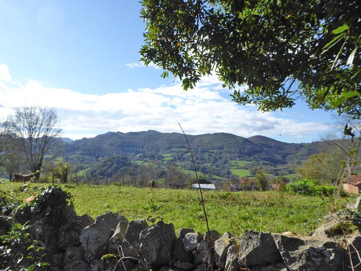 Image No.60-Ferme de 6 chambres à vendre à Grado