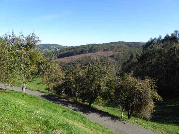 Image No.60-3 Bed Country Property for sale