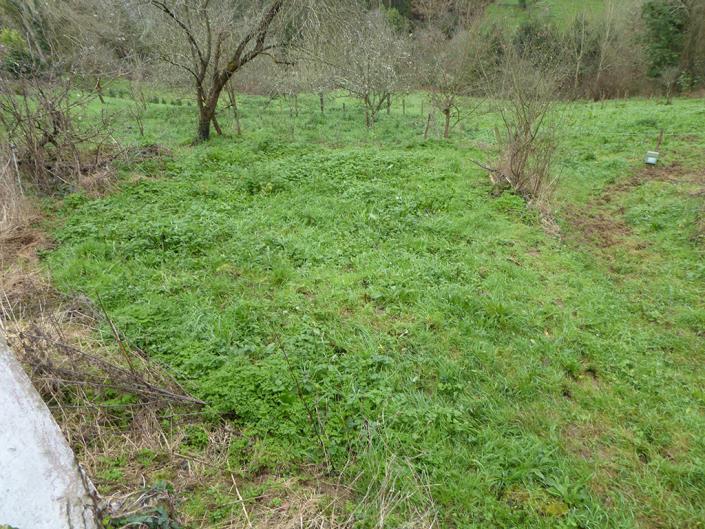 Image No.10-3 Bed Village House for sale