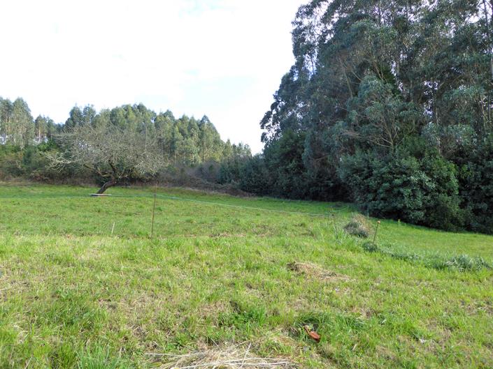 Image No.37-4 Bed Country House for sale